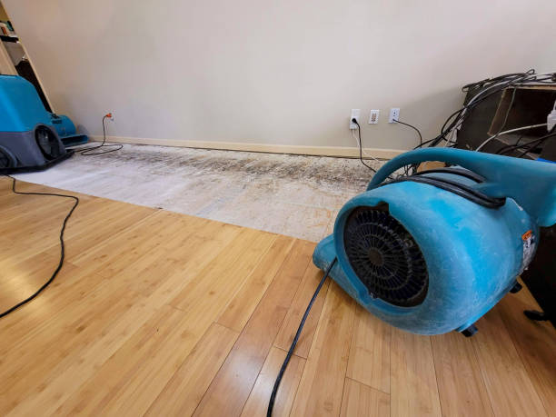 Professional Water Damage Repair technician working in Klingerstown, PA